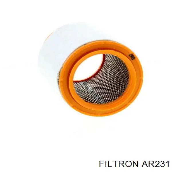 Купити AR231 Filtron Автомобільний фільтр повітря