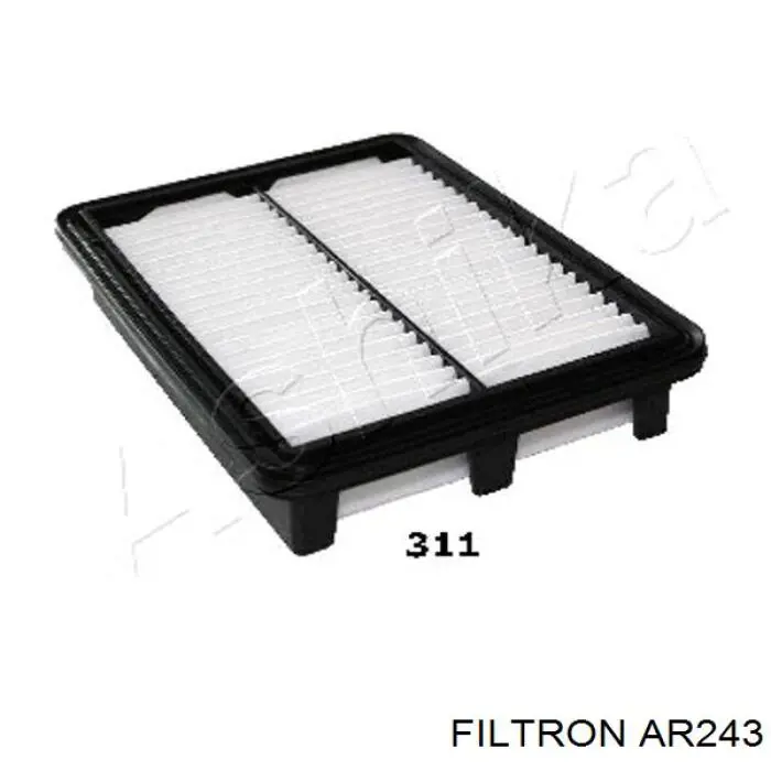 AR243 Filtron Повітряний фільтр двигуна