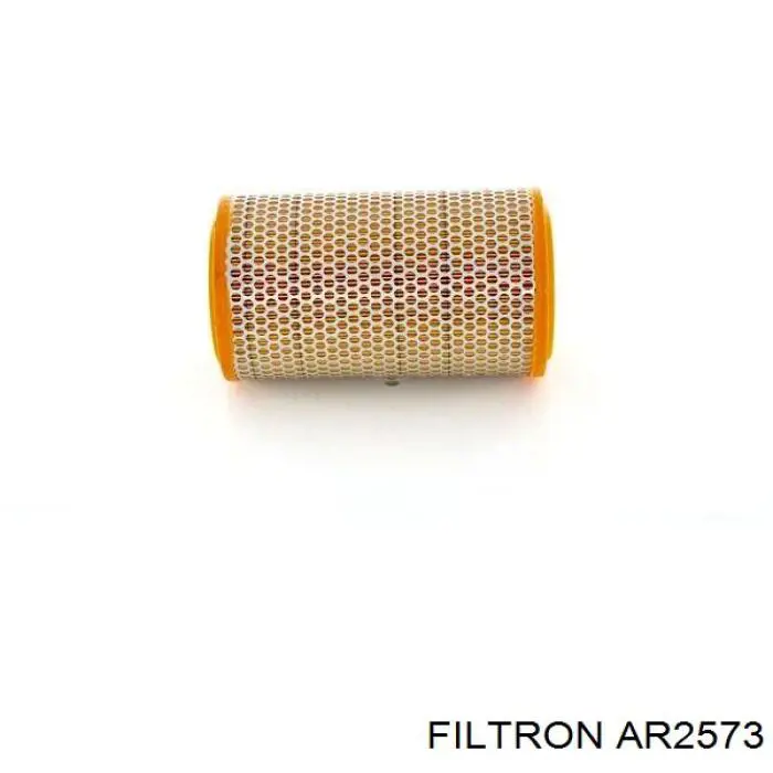Фільтр повітряний Filtron AR2573