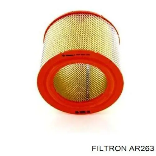 AR263 Filtron фільтр повітряний