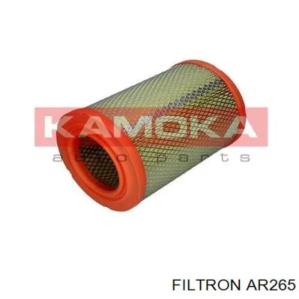 Купити AR265 Filtron Автомобільний фільтр повітря