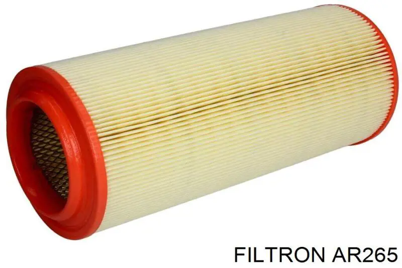 Елемент повітряного фільтра Filtron AR265 ціна, від 8.89 USD
