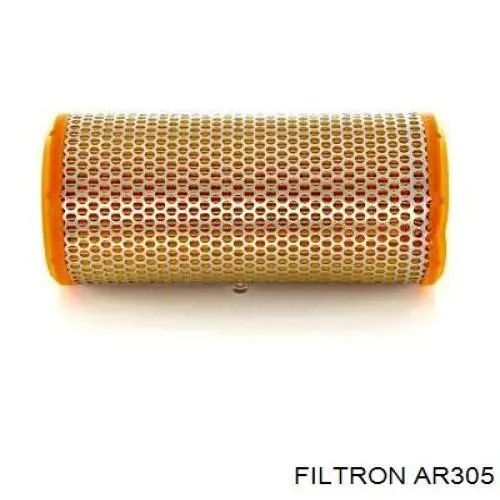 Купити AR305 Filtron Автомобільний фільтр повітря