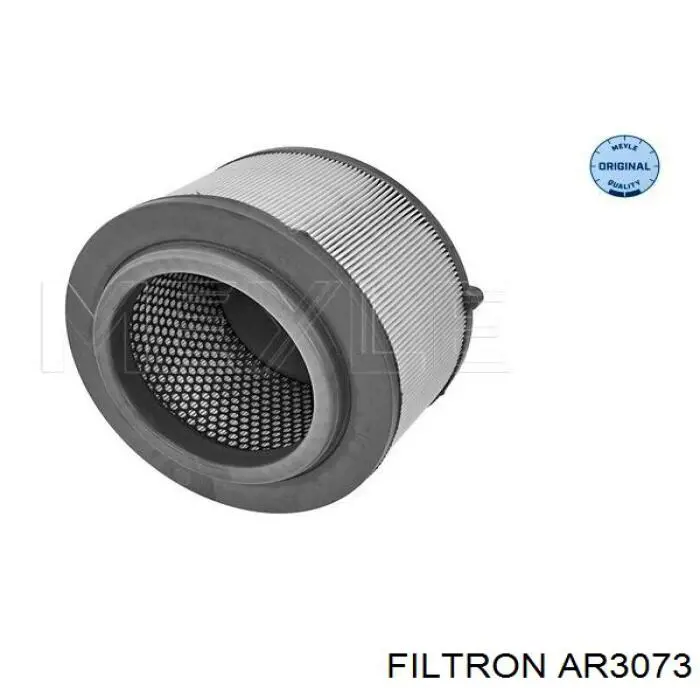 AR3073 Filtron Повітряний фільтр двигуна