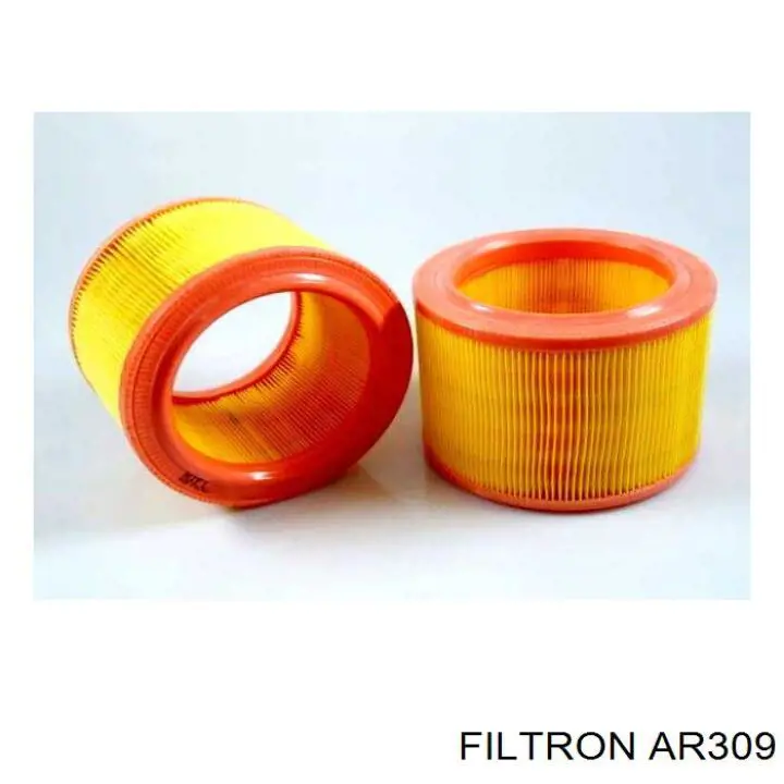 Повітряний фільтр AR309 Filtron