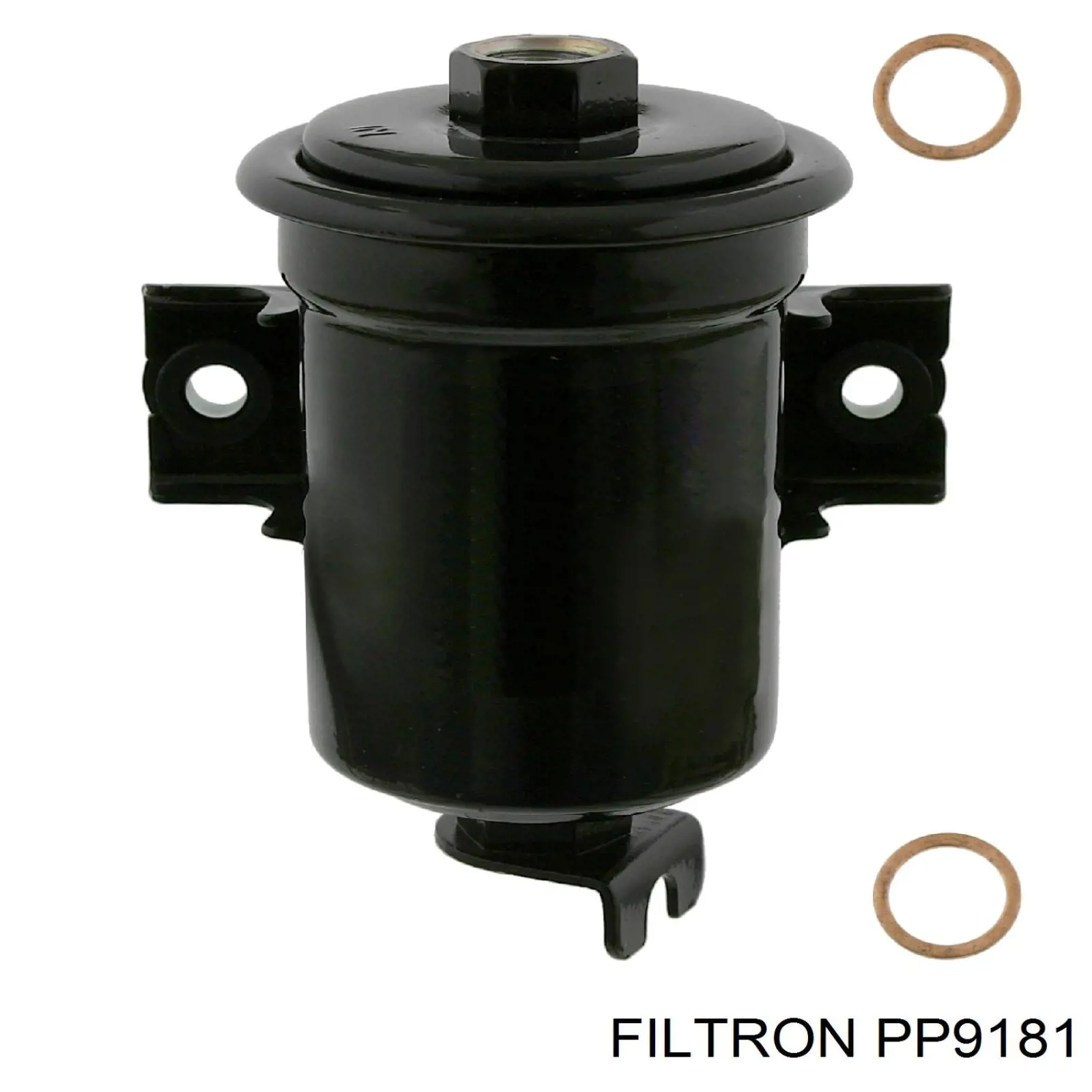 PP9181 Filtron фільтр паливний