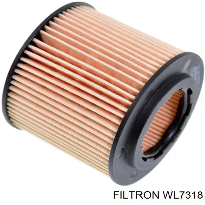 Масляний фільтр двигуна Filtron WL7318 ціна, від 5.60 USD