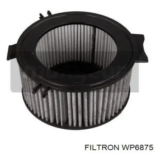 WP6875 Filtron Внутрішньосалонний фільтр