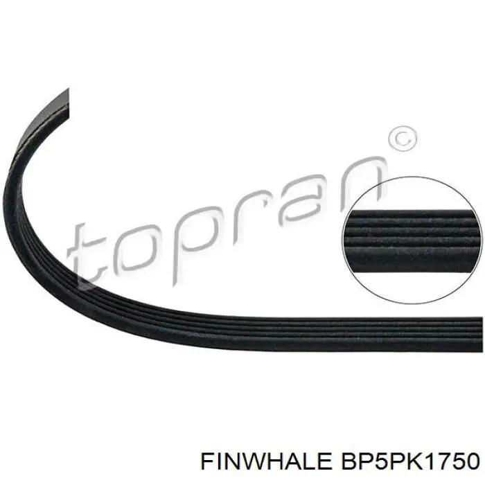 Купити BP5PK1750 Finwhale Ремінь генератора