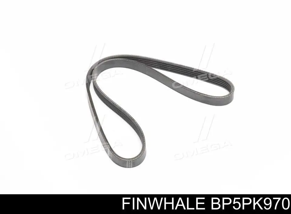 Купити BP5PK970 Finwhale Ремінь генератора