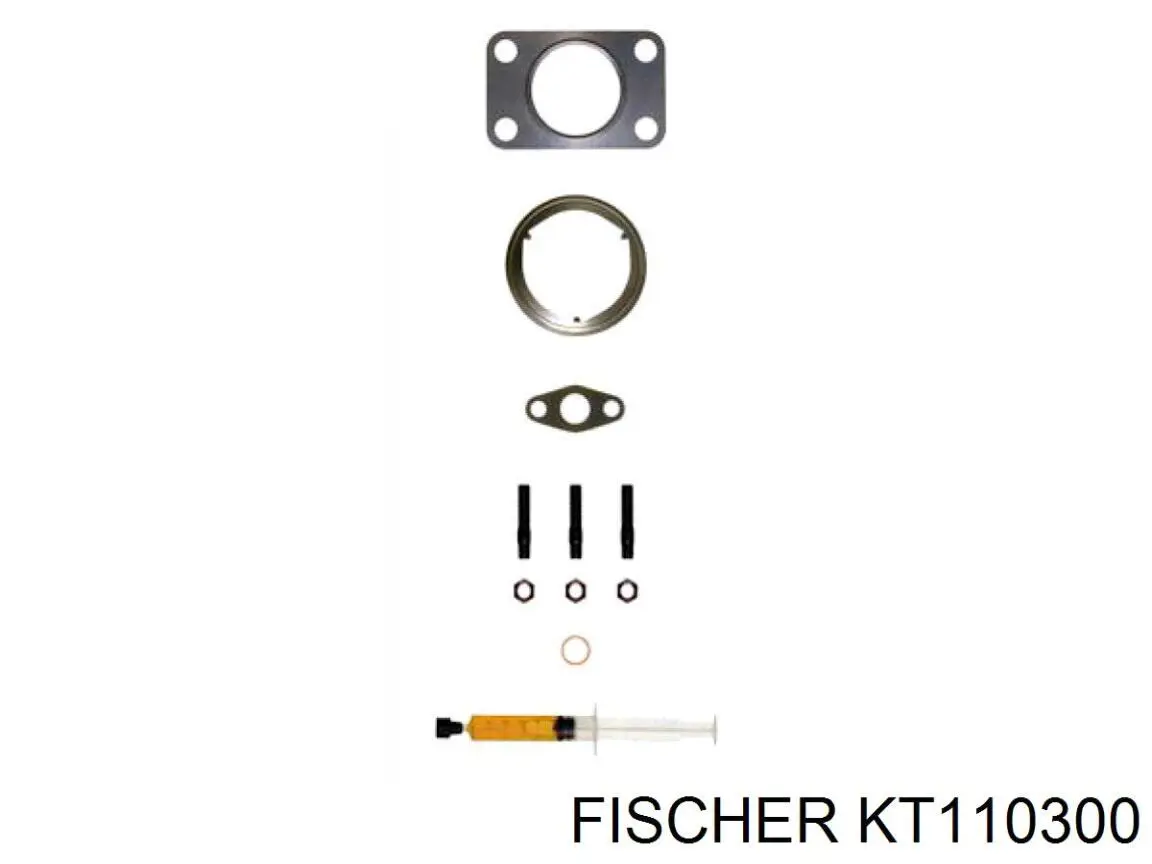 KT110300 Georg Fisher прокладка турбіни, монтажний комплект