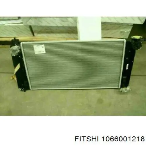 Радіатор 1066001218 Fitshi