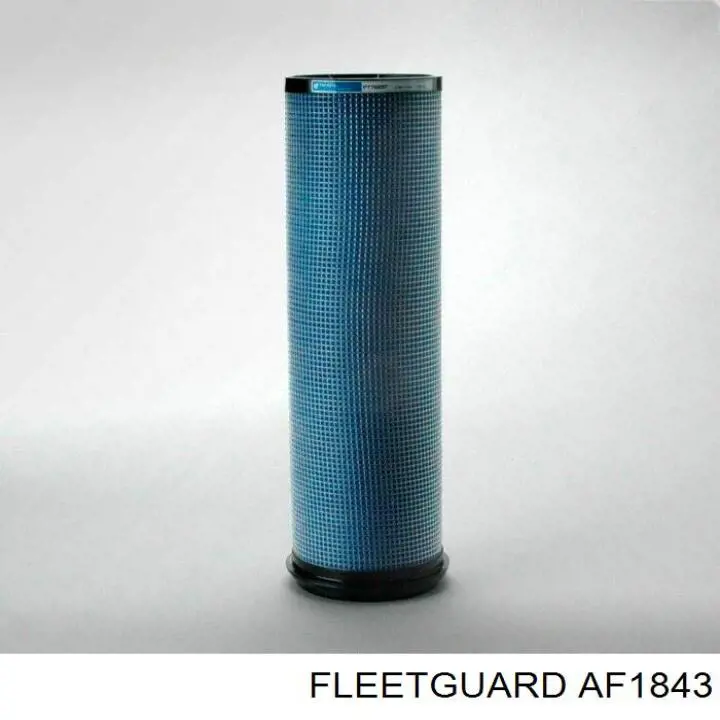 Елемент повітряного фільтра Fleetguard AF1843 ціна, від 36.13 USD