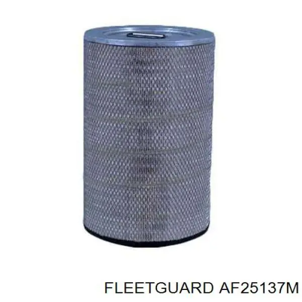 Повітряний фільтр AF25137M Fleetguard