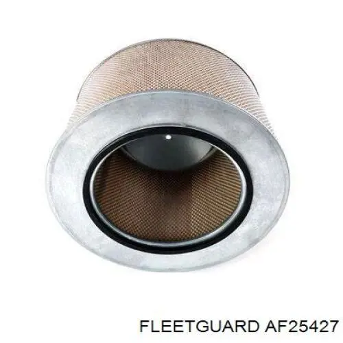 AF25427 Fleetguard фільтр повітряний