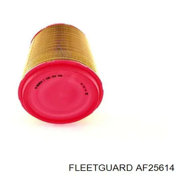 AF25614 Fleetguard Повітряний фільтр двигуна