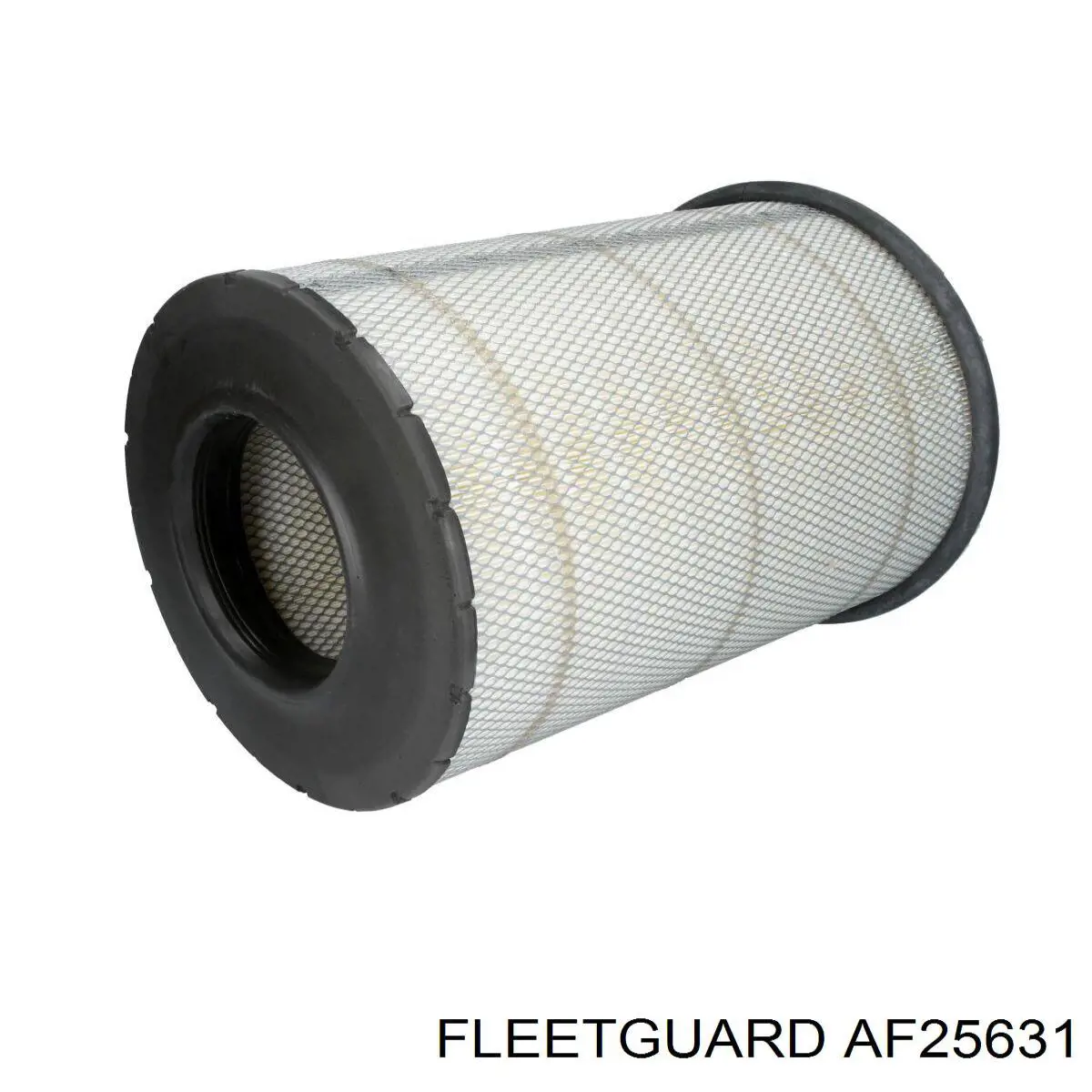 Купити AF25631 Fleetguard Автомобільний фільтр повітря