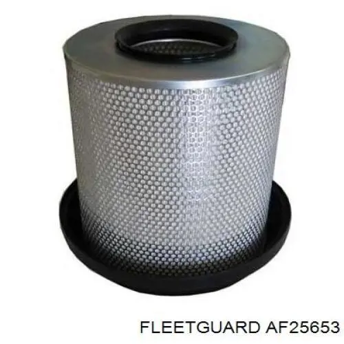 AF25653 Fleetguard Повітряний фільтр двигуна
