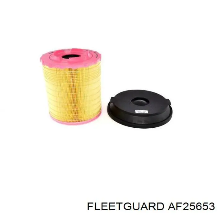 Елемент повітряного фільтра Fleetguard AF25653 ціна, від 56.13 USD