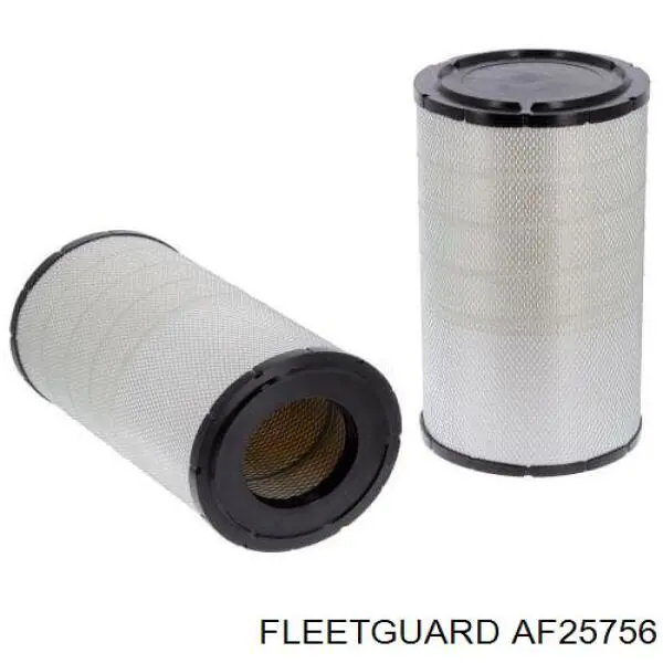 Купити AF25756 Fleetguard Автомобільний фільтр повітря