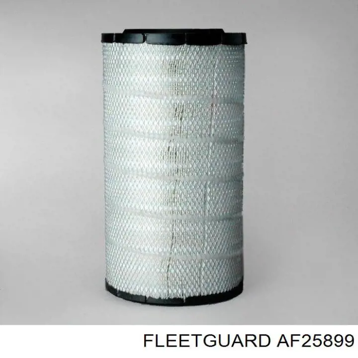 AF25899 Fleetguard Повітряний фільтр двигуна