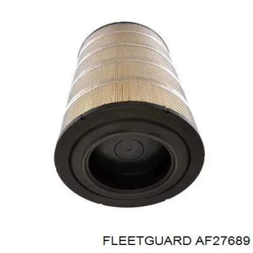 Купити AF27689 Fleetguard Автомобільний фільтр повітря