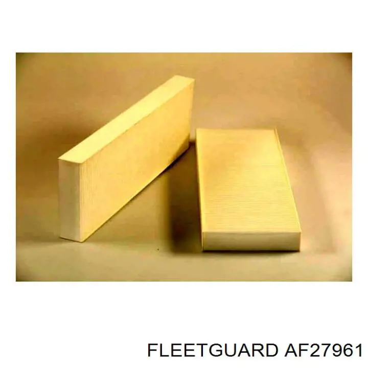 Купити AF27961 Fleetguard Фільтр салону вугільний