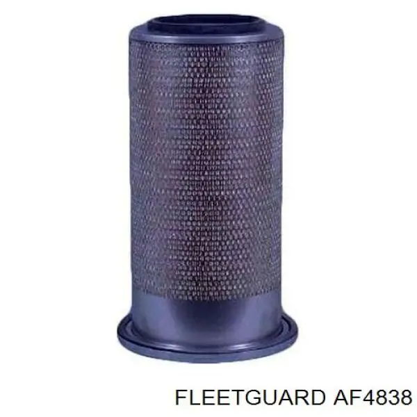 Купити AF4838 Fleetguard Автомобільний фільтр повітря