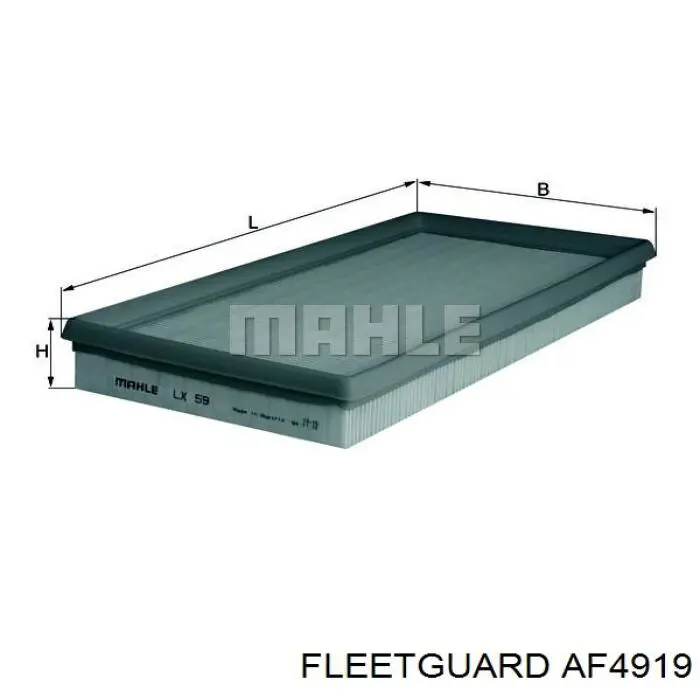 AF4919 Fleetguard Повітряний фільтр двигуна