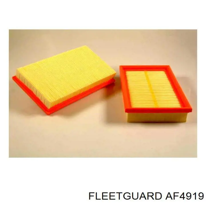 Купити AF4919 Fleetguard Автомобільний фільтр повітря