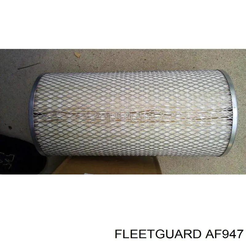 AF947 Fleetguard Повітряний фільтр двигуна