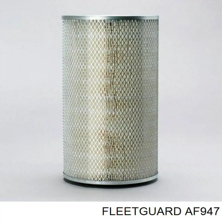Купити AF947 Fleetguard Автомобільний фільтр повітря