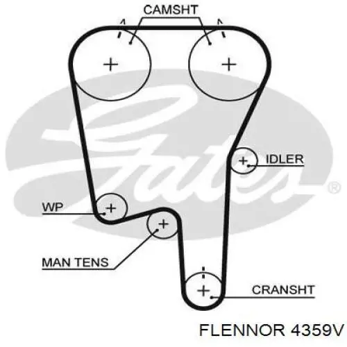 Ремінь ГРМ 4359V Flennor