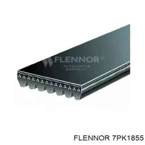Купити 7PK1855 Flennor Ремінь генератора