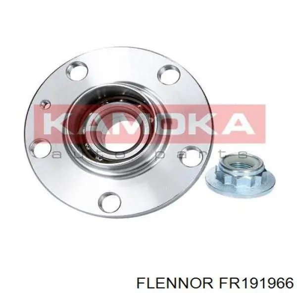 FR191966 Flennor Маточина задня