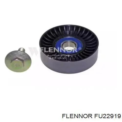 Ролик приводного ременя, паразитний FU22919 Flennor