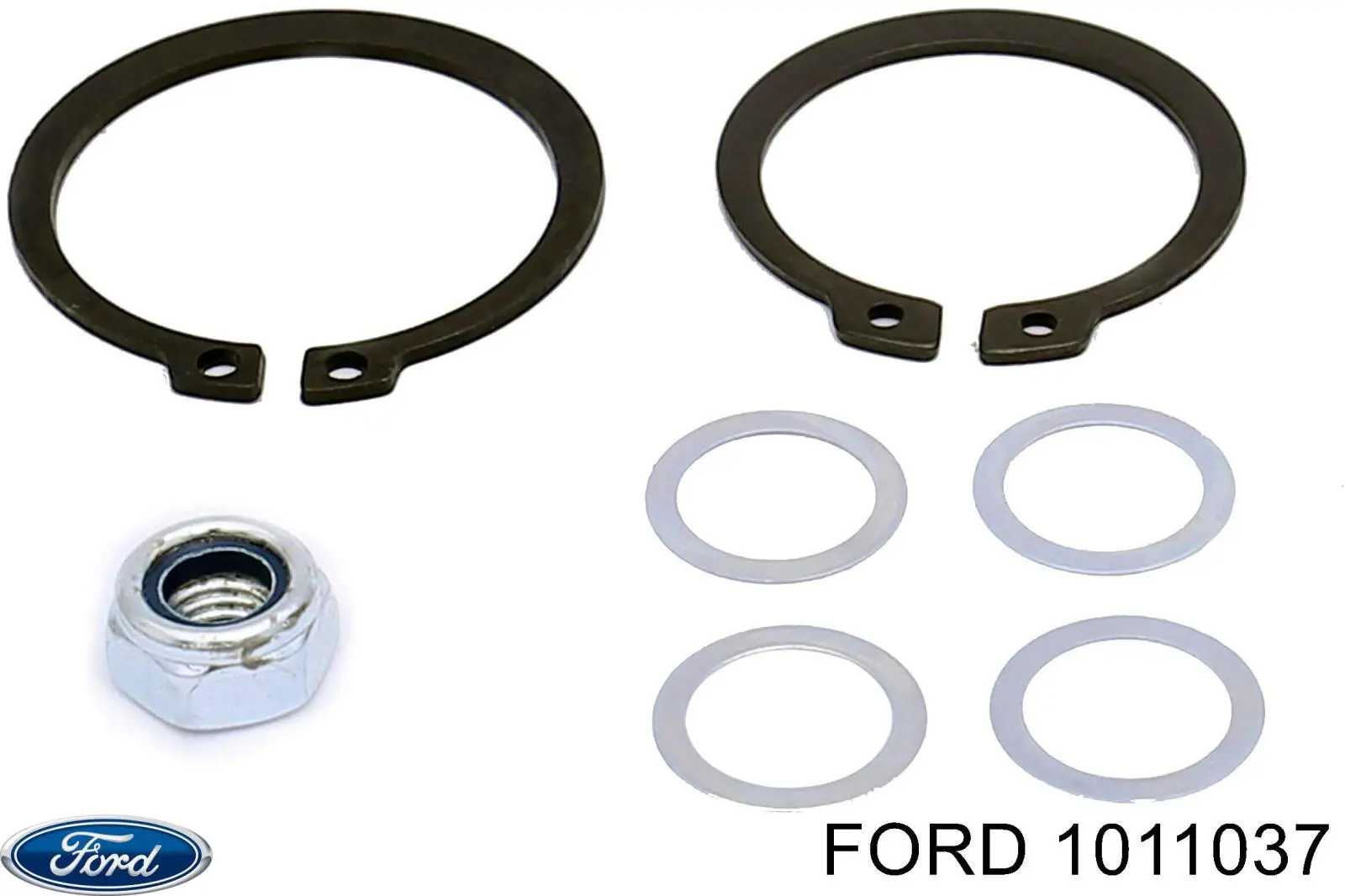 Насос паливний високого тиску Ford 1011037 ціна, від 177.97 USD