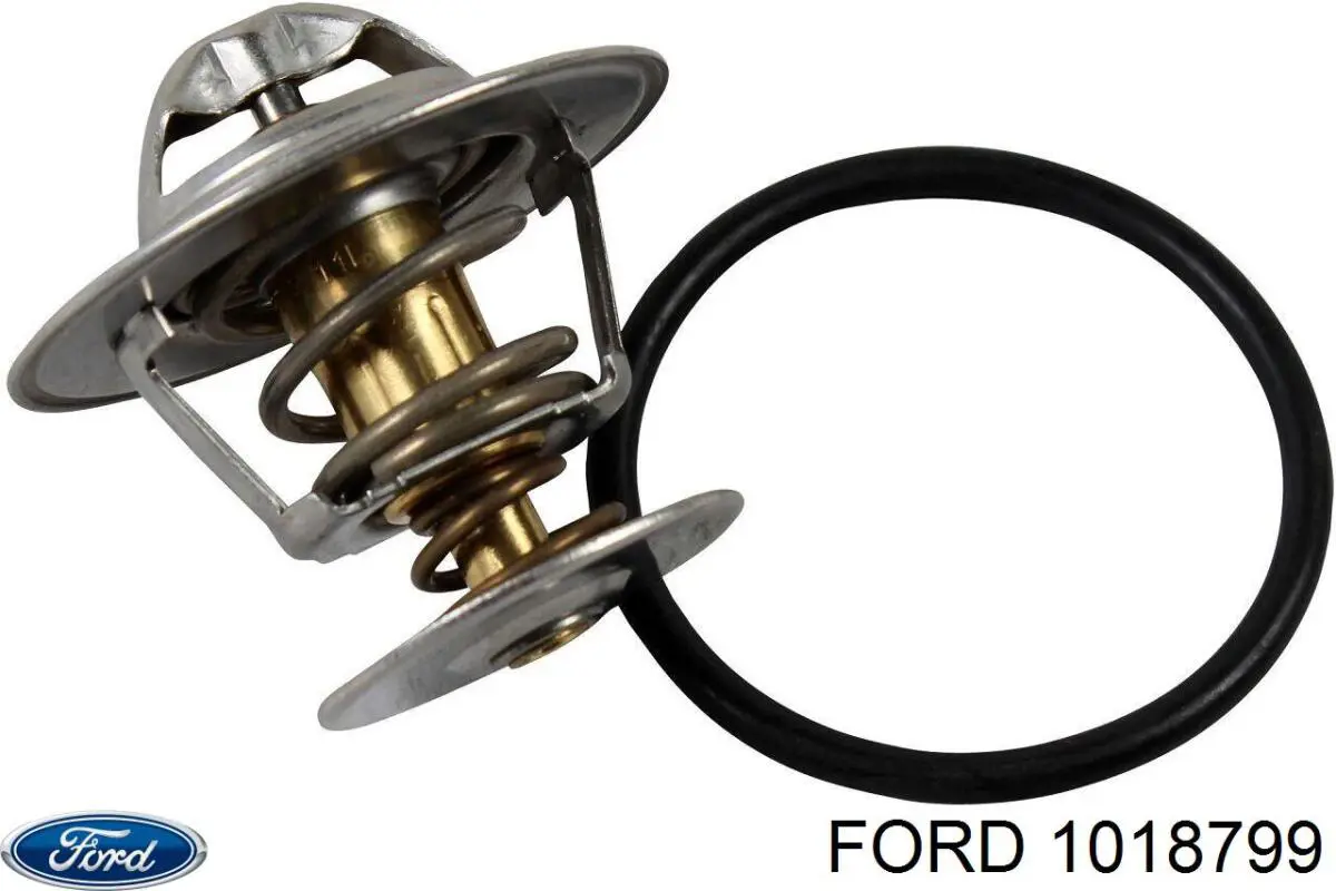 Термостат в зборі Ford 1018799