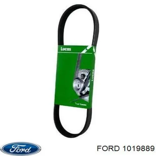 Ремінь кондиціонера Ford 1019889