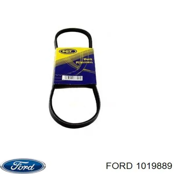Клиновий ремінь Ford 1019889 ціна, від 13.51 USD