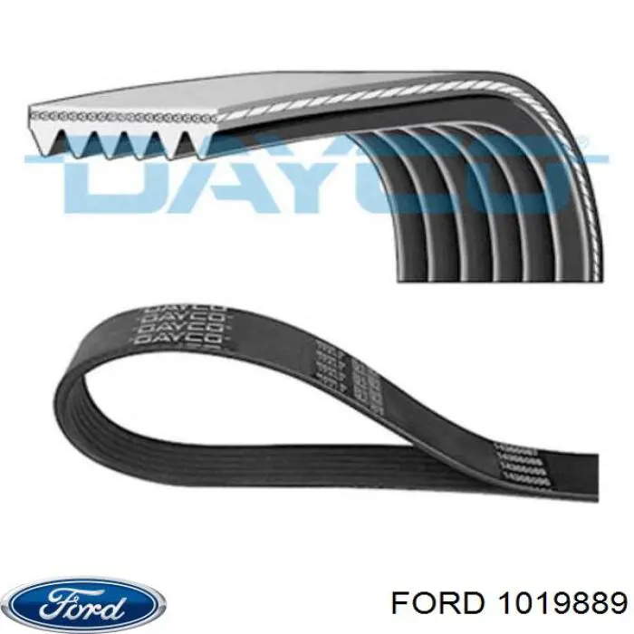 Купити 1019889 Ford Ремінь генератора