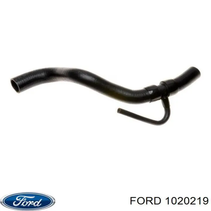 Важіль передньої підвіски нижній, правий 1020219 Ford