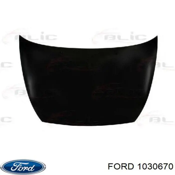 Купити 6745316 Ford Капот