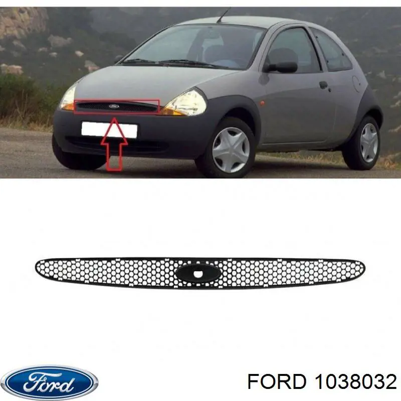 Купити 1038032 Ford Захисна решітка радіатора