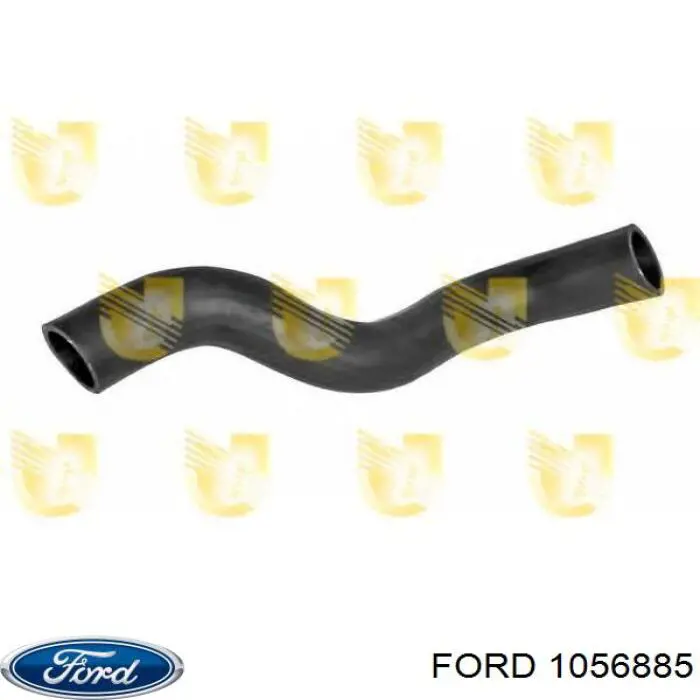 Купити 1056885 Ford Шланг/патрубок радіатора охолодження, нижній