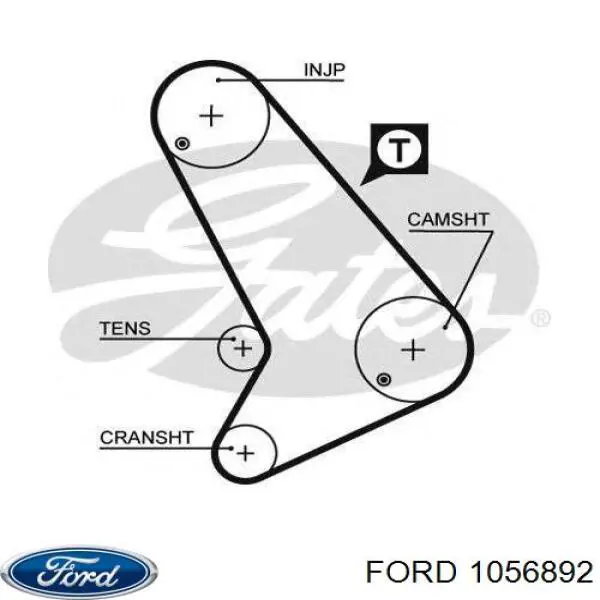 Зубчастий ремінь Ford 1056892 ціна, від 17.43 USD