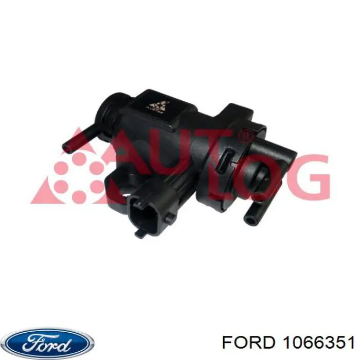 1033101 Ford двері задні, багажні (3-і/(5-і) (ляда))