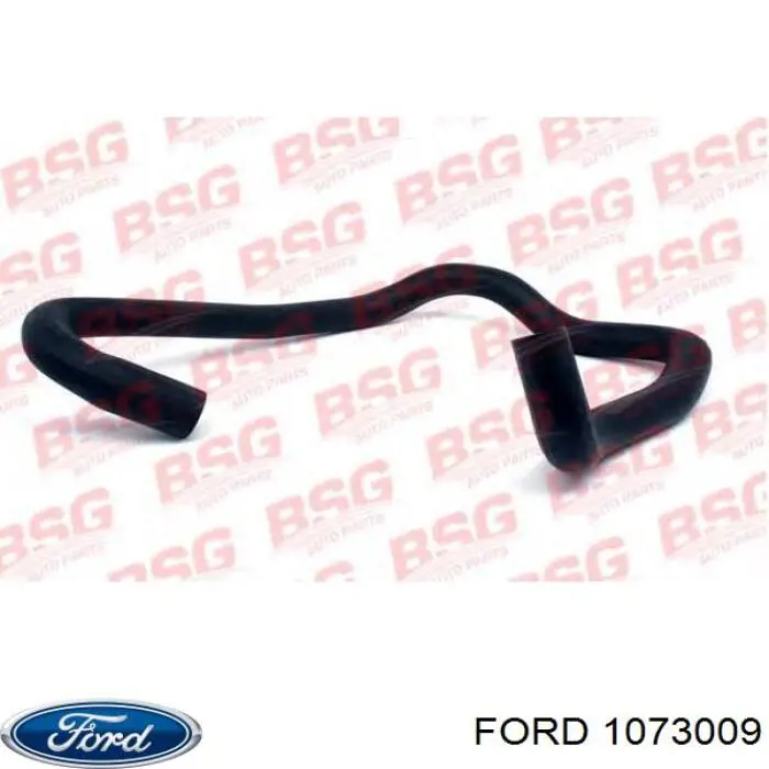 Купити 1073009 Ford Стійка амортизатора задня