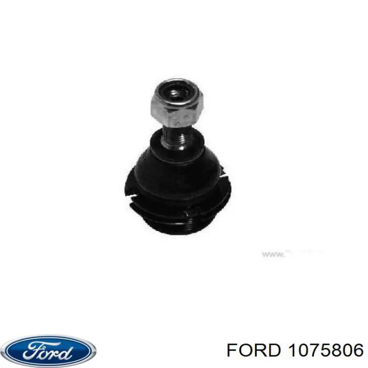 Купити 1075806 Ford Шланг гальмівний передній, правий