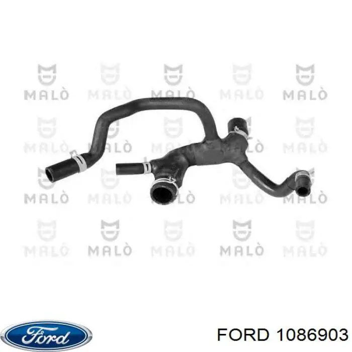 Шланг/патрубок радіатора охолодження, нижній 1086903 Ford